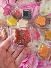 Load image into Gallery viewer, Autumn leaves wax melt shapes / Sample bars lots of different fragrances available